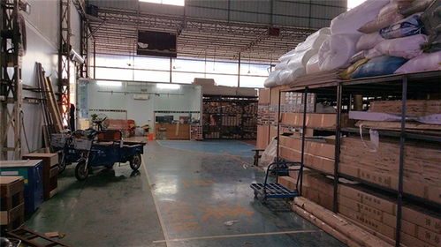 立美建材 專業運動館木地板生產商，品質保障與高清展示
